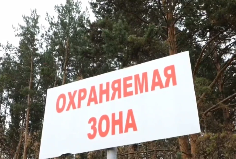 Фото: администрация Кемерова.