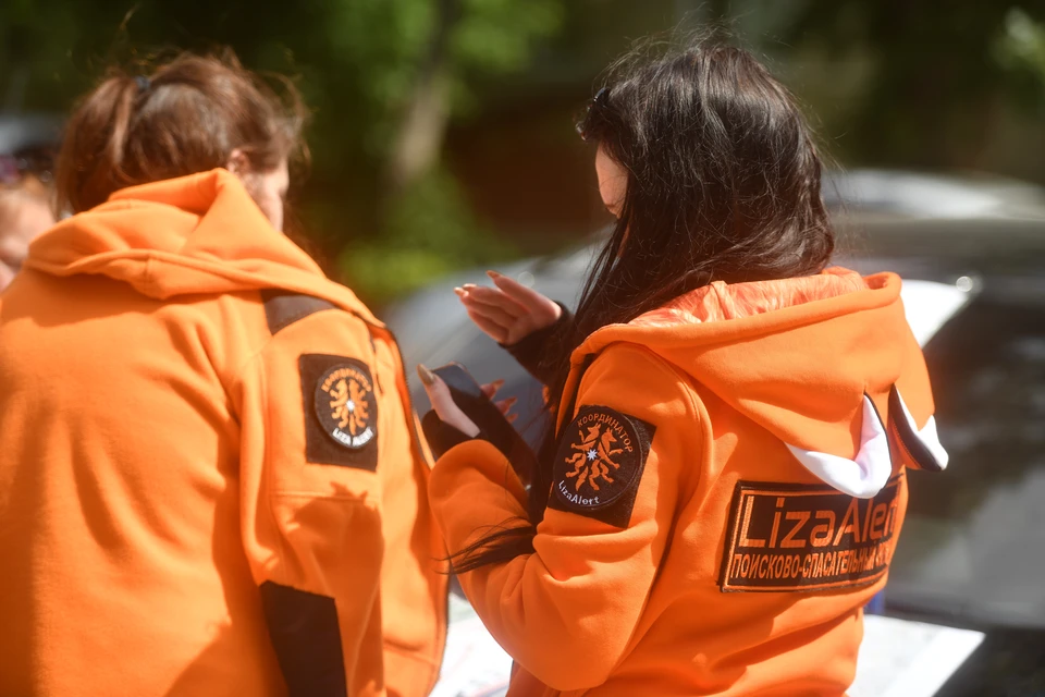 Любую информацию, которая поможет в поисках, просят сообщать по телефонам 112 или 8-800-700-54-52