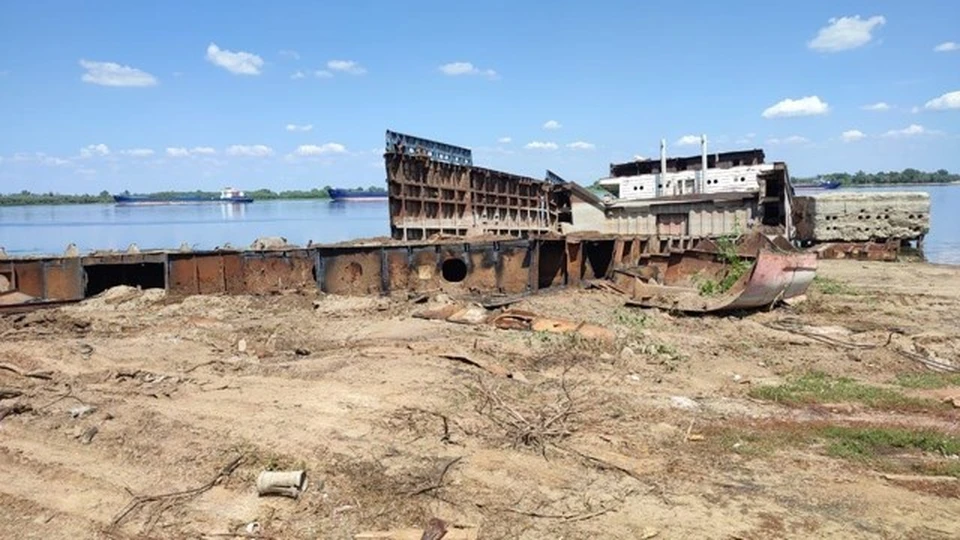Фото: Нижне-Волжское межрегиональное управление Росприроднадзора