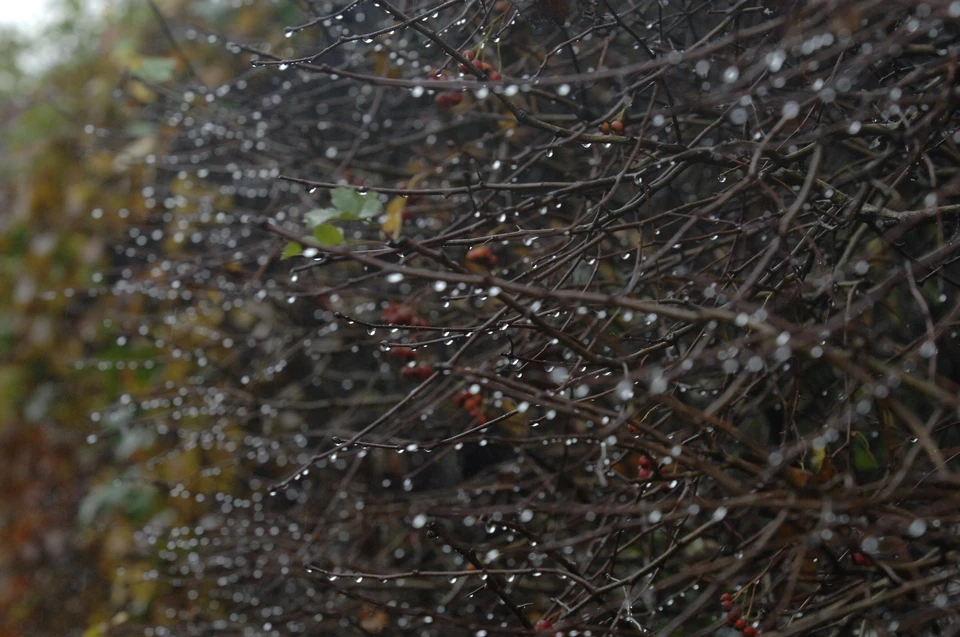 Фото: РУКАВИЦЫН Олег, "Комсомольская правда"