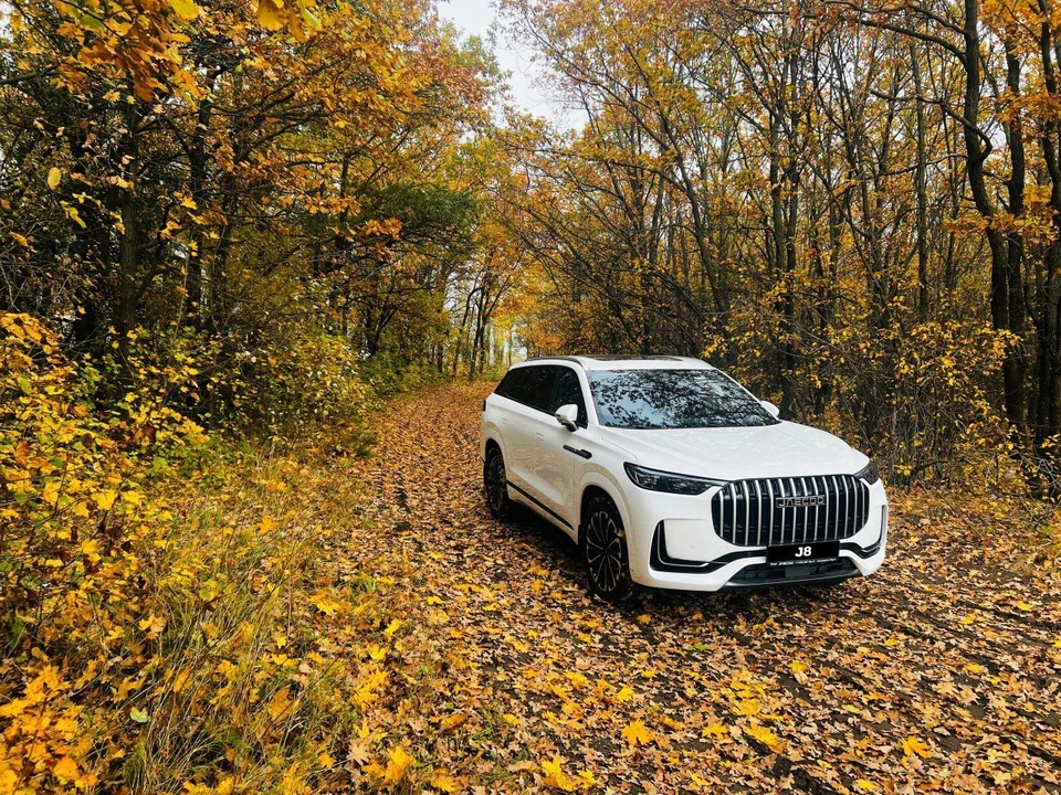 фото: Ринг Сервис