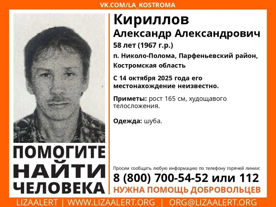 Фото: ДПСО "ЛизаАлерт" Костромской области