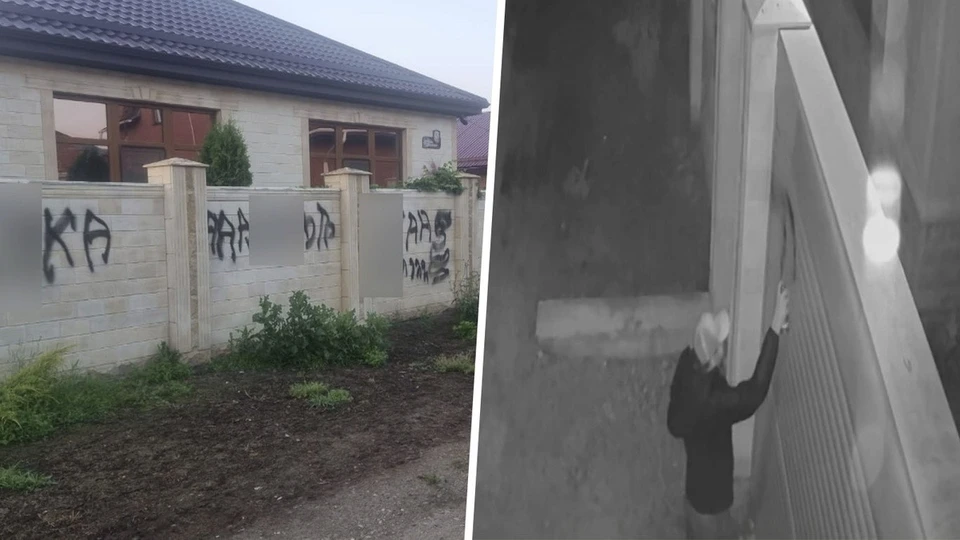 Фото: Скриншот видео телеканала «Кубань 24»