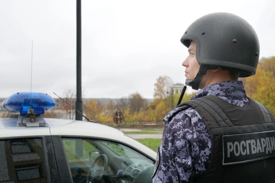 Группы задержания вневедомственной охраны предотвратили кражу имущества из торговых центров. Фото: Росгвардия. Кировская область