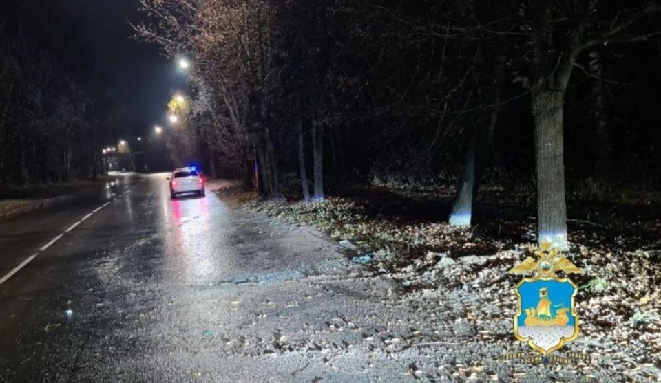 Источник: пресс-служба УМВД России по Костромской области