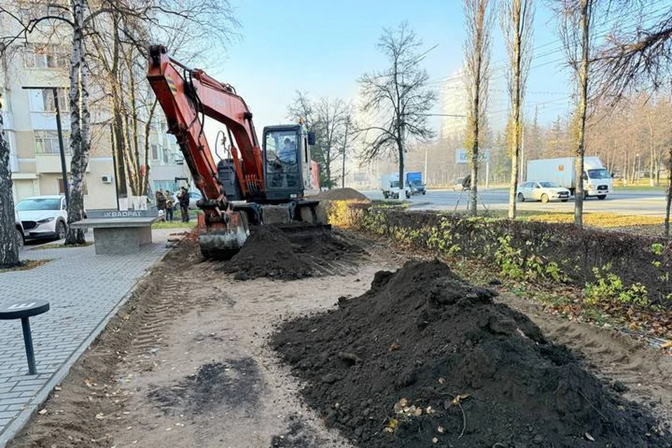 Фото: Антон Тарасов