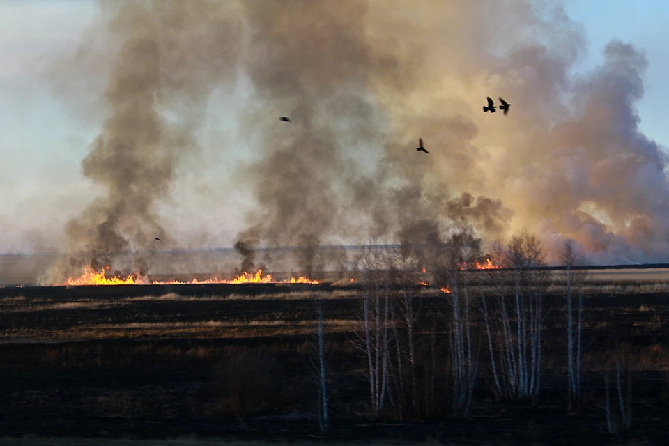 Причиной возгорания стало неосторожное обращение с огнем