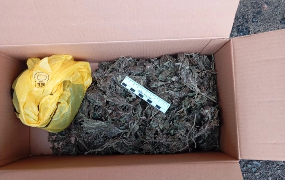 Фото: пресс-служба УМВД России по Орловской области