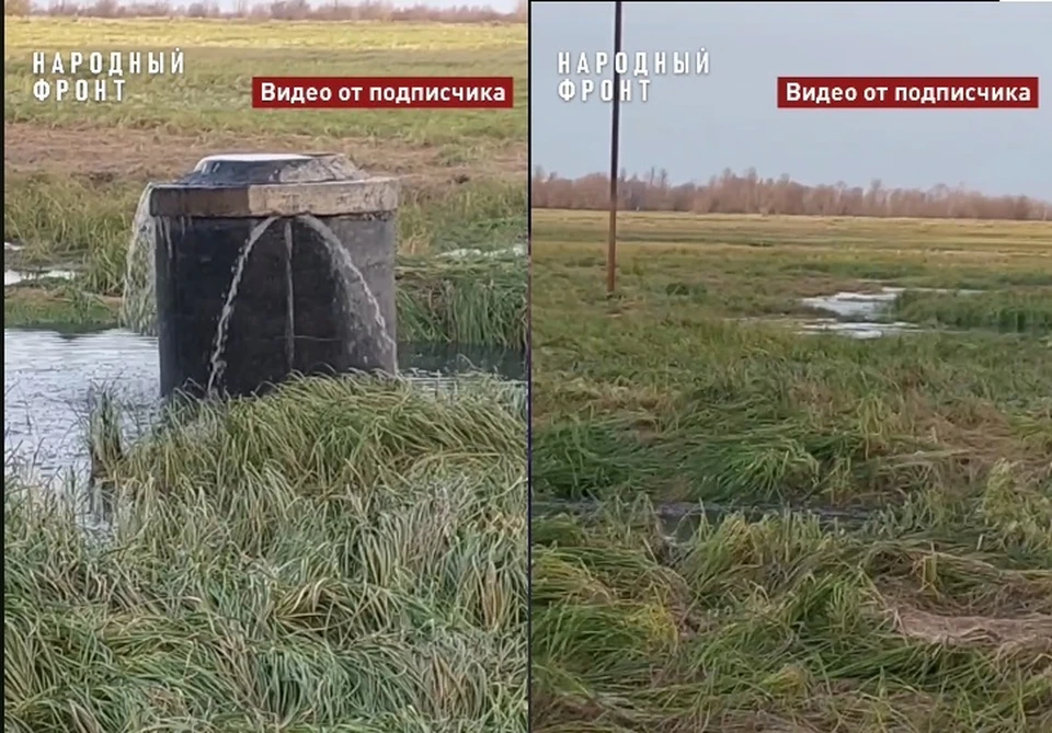 Фото: скриншот с видео