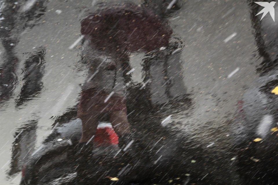 Ожидаются небольшие, ночью умеренные осадки.