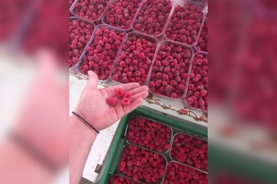 Предгорный округ добился рекордного урожая малины. Фото: администрация Предгорного округа