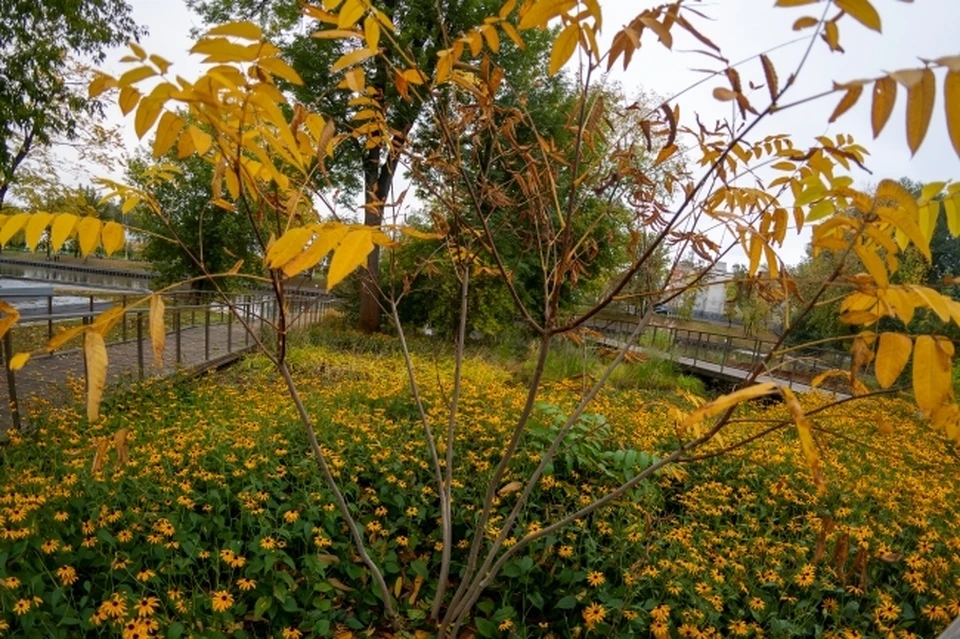 Синоптики рассказали о погоде на ближайшие три дня