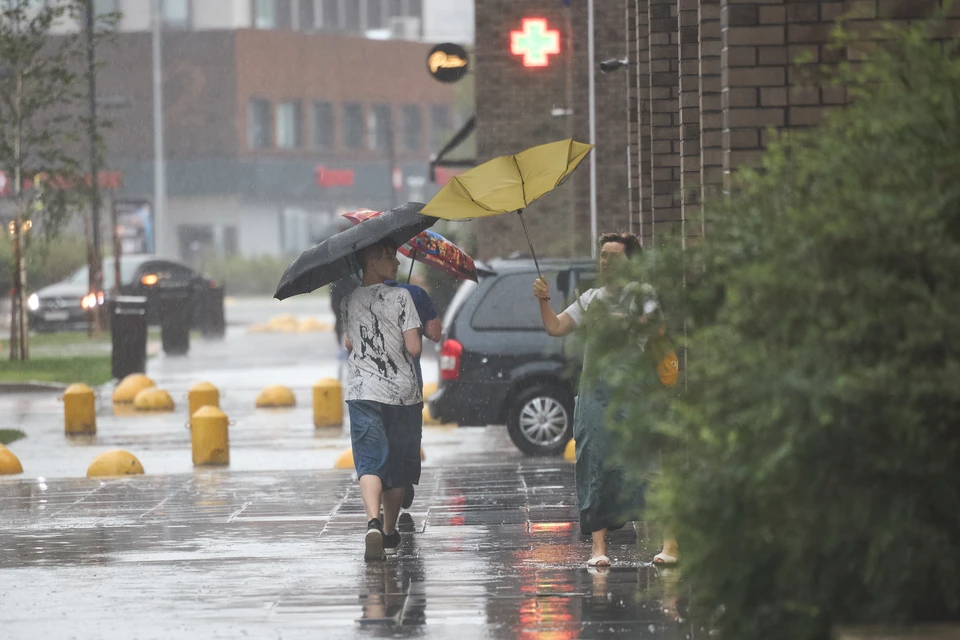 Фото: архив "КП".
