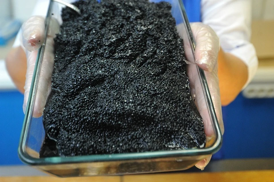 Двух жителей Хабаровского края задержали за хранение икры осетровых