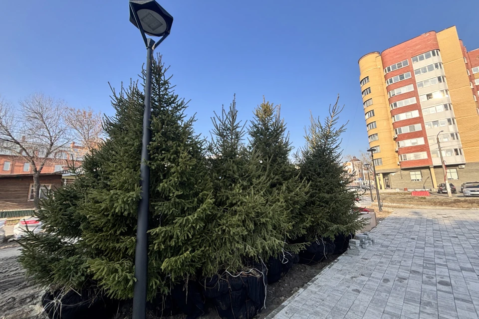 Местами в городе продолжается озеленение