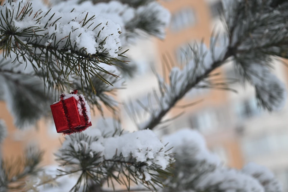 Метеорологи-любители прогнозируют неожиданное потепление в начале декабря.