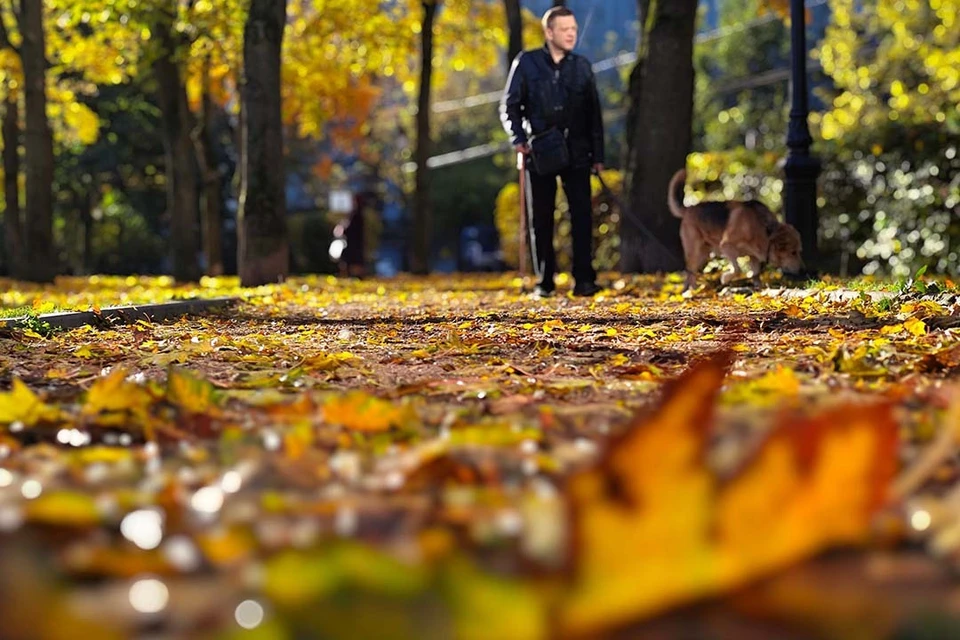Специалисты уберут не только листву, но и мусор.