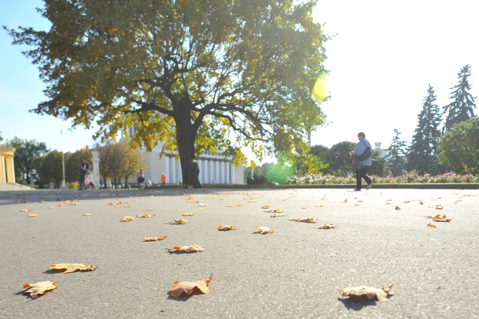 В регионе потеплеет до +13 градусов.