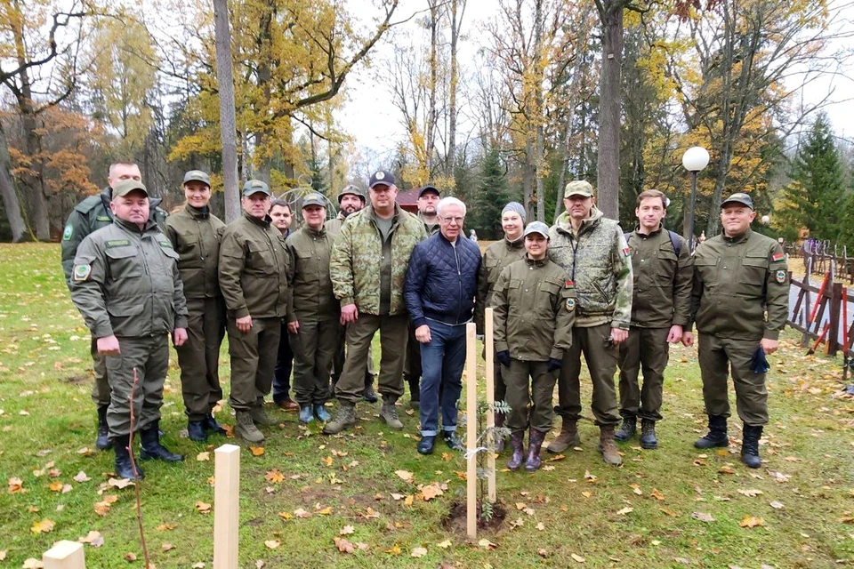 Фото: Ольга Стрелкова