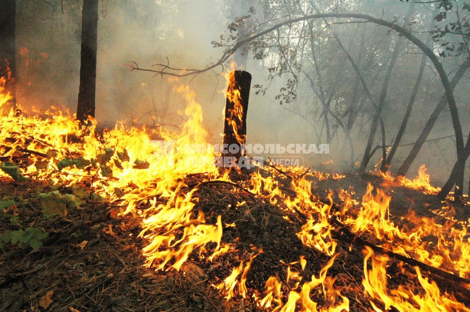 Основные силы брошены на недопущение огня к населенному пункту.
