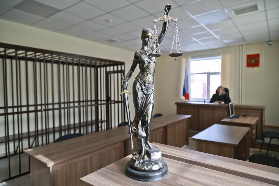 По решению суда мужчину признали виновным
