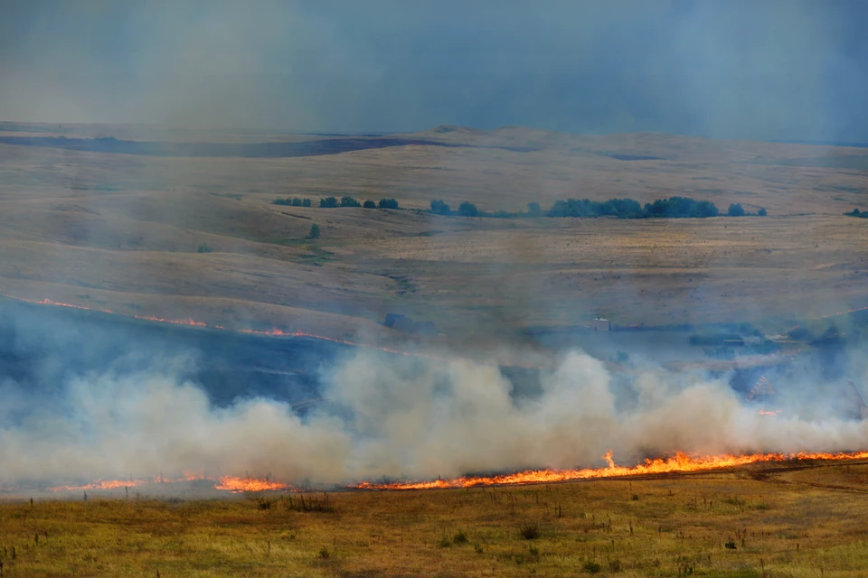 Общая площадь возгораний составила 41,2 гектара