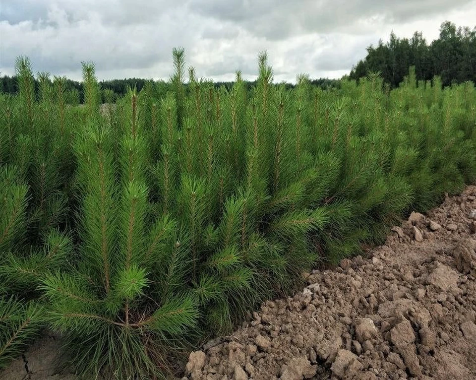 Фото: пресс-служба АПК.