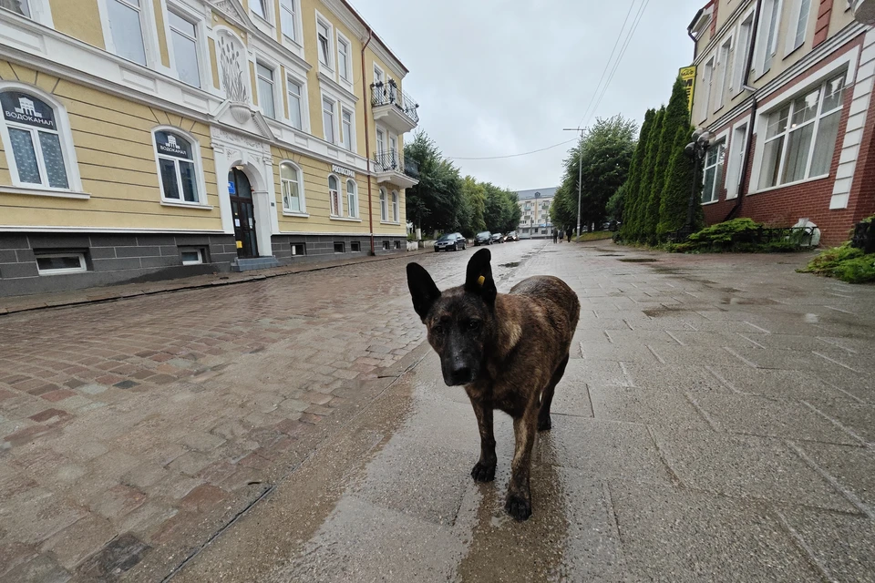 Исковые требования были удовлетворены частично