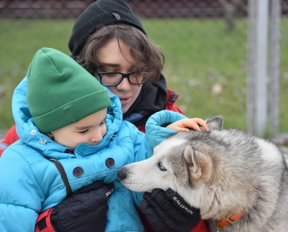 В Казани три тысячи детей с ограниченными возможностями здоровья уже пользуются услугами инклюзивных центров.