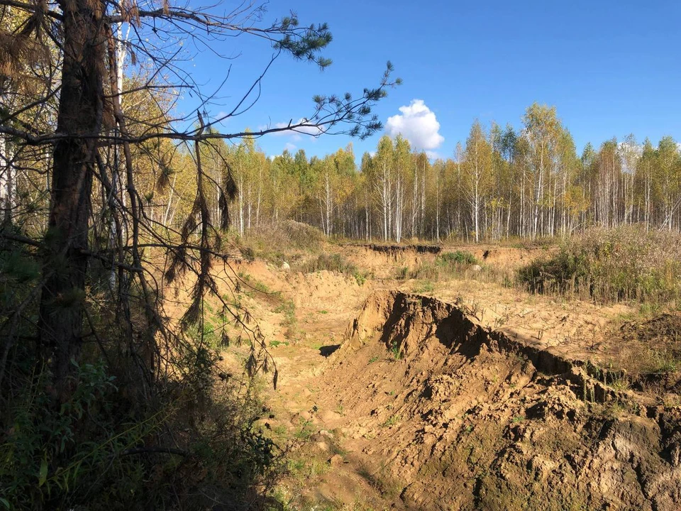 Фото: прокуратура Омской области