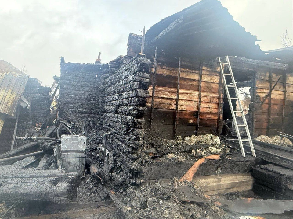 Фото: ГСУ СК России по Красноярскому краю и Республике Хакасия