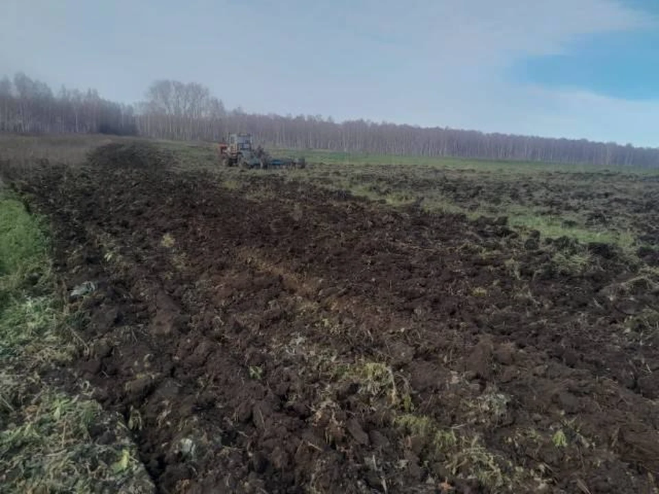 Фото: Управление Россельхознадзора по Красноярскому краю