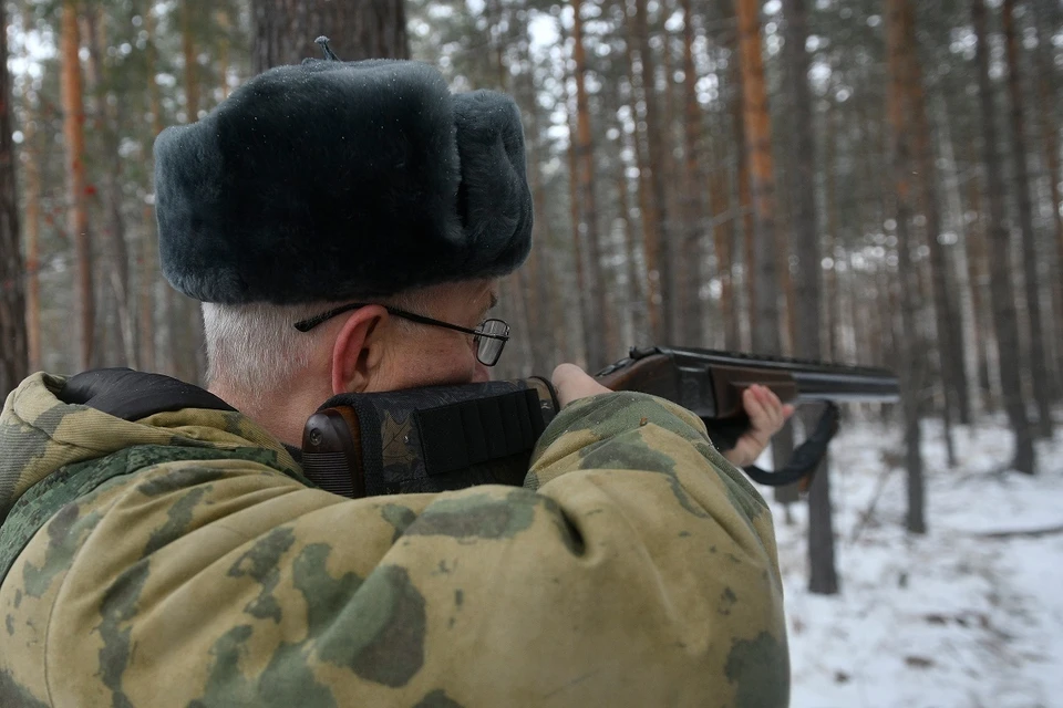 Отстрел животных проведут с 28 октября по 26 ноября.