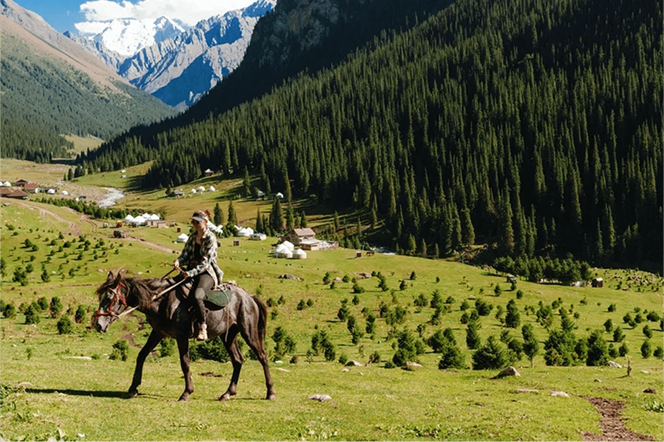 Представлено организаторами