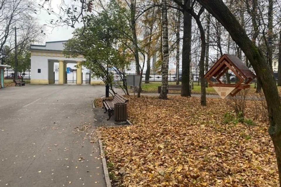 Для удобства кормушки следует располагать на уровне человеческого роста. Фото: администрация города Кирова