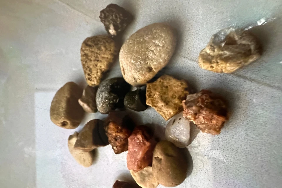 Мальчик попал в приемное отделение с жалобами на боли, вздутие живота и рвоту. Фото: минздрав СК