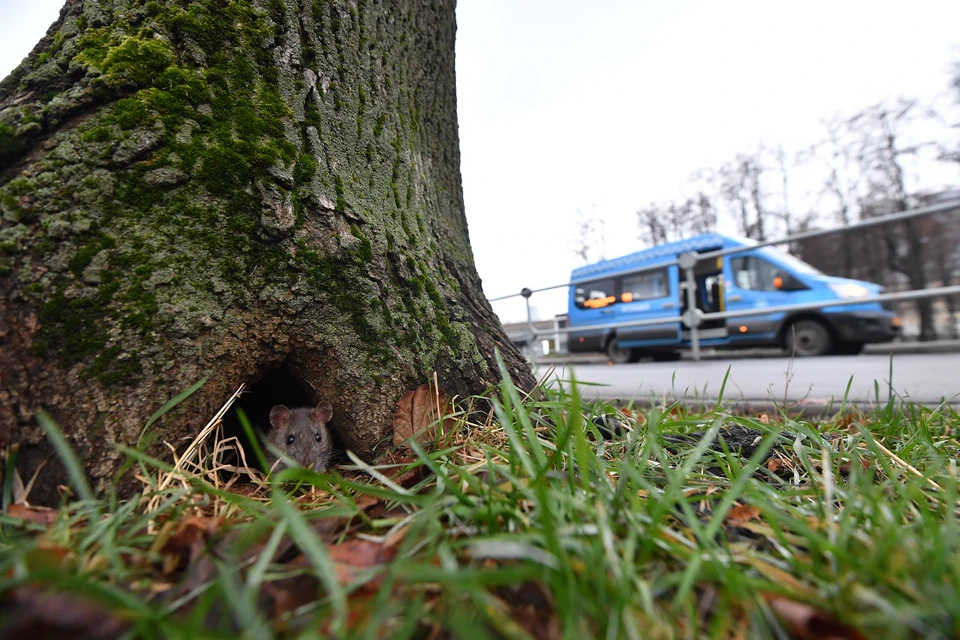 Фото из архива "КП".