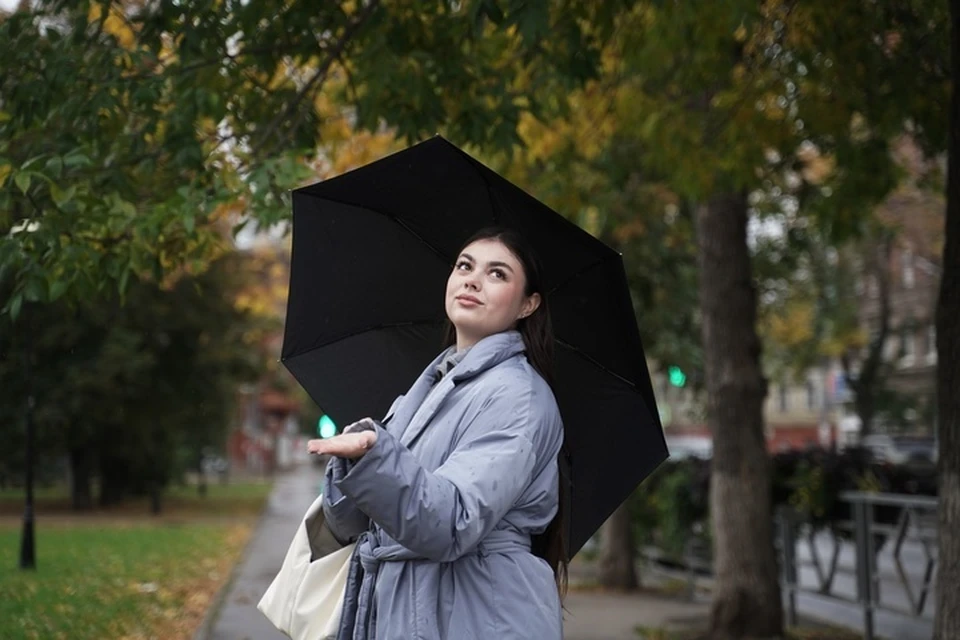 Дожди крайне вероятны в регионе в ночь на 29 октября и наступившим днем