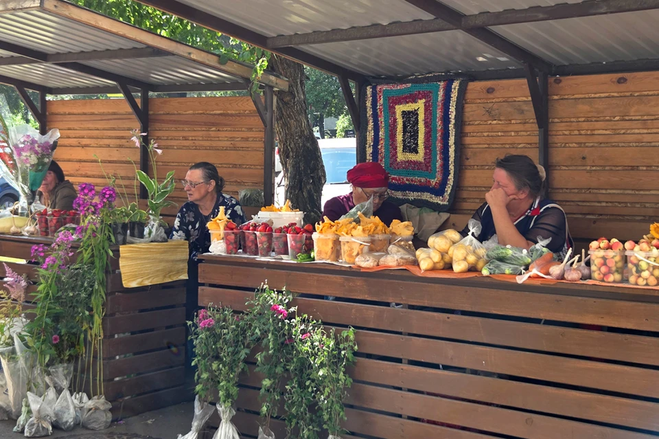 Фото: admkrsk.ru