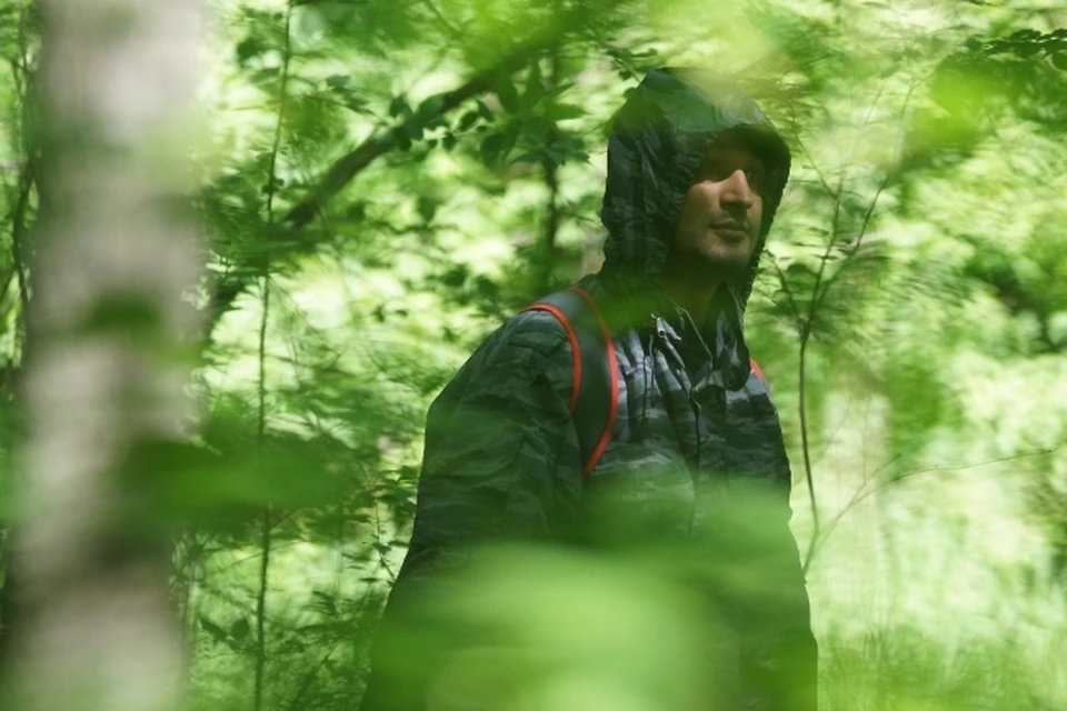 В Коми спасли заблудившегося в лесу сборщика клюквы