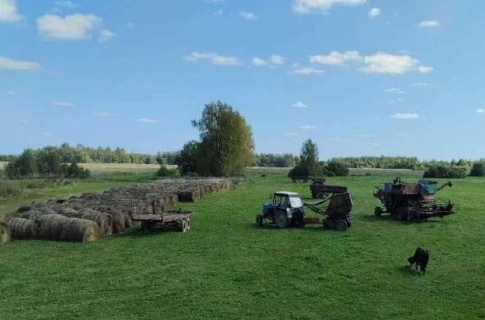 Участок семьи Николаевых из Кесовогорского округа — победителей конкурса прошлого года. Фото предоставлено Министерством семейной и демографической политики Тверской области; из архива семьи