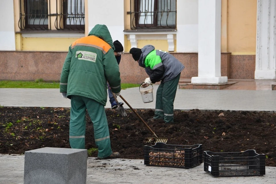 До конца осени планируется обустроить более 1300 квадратных метров цветников. Фото: пресс-служба администрации Твери
