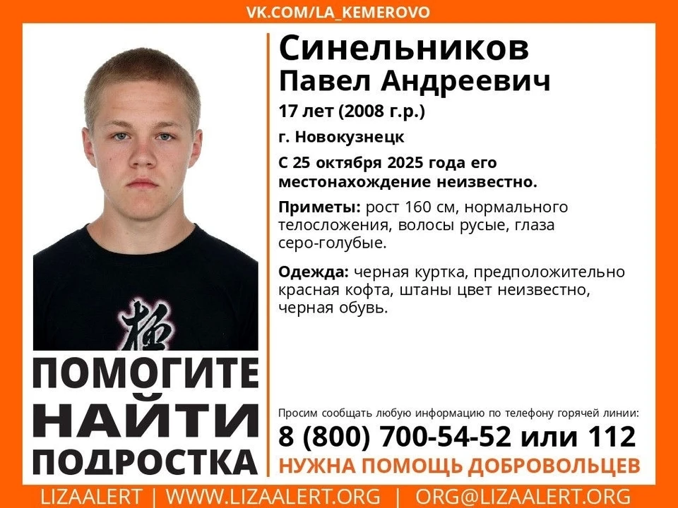 Фото: «ЛизаАлерт Кузбасс».