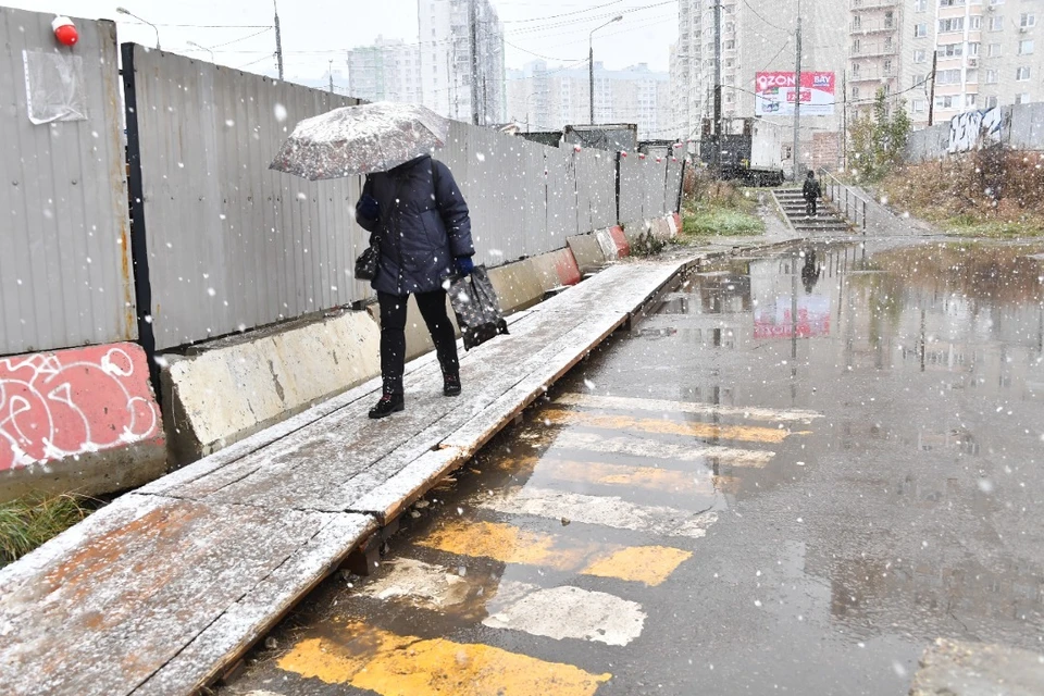 Ноябрь в Новосибирской области будет теплым и дождливым.