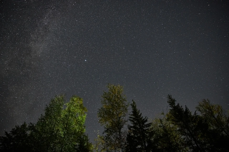 Этот поток активен ежегодно с 6 по 30 ноября.