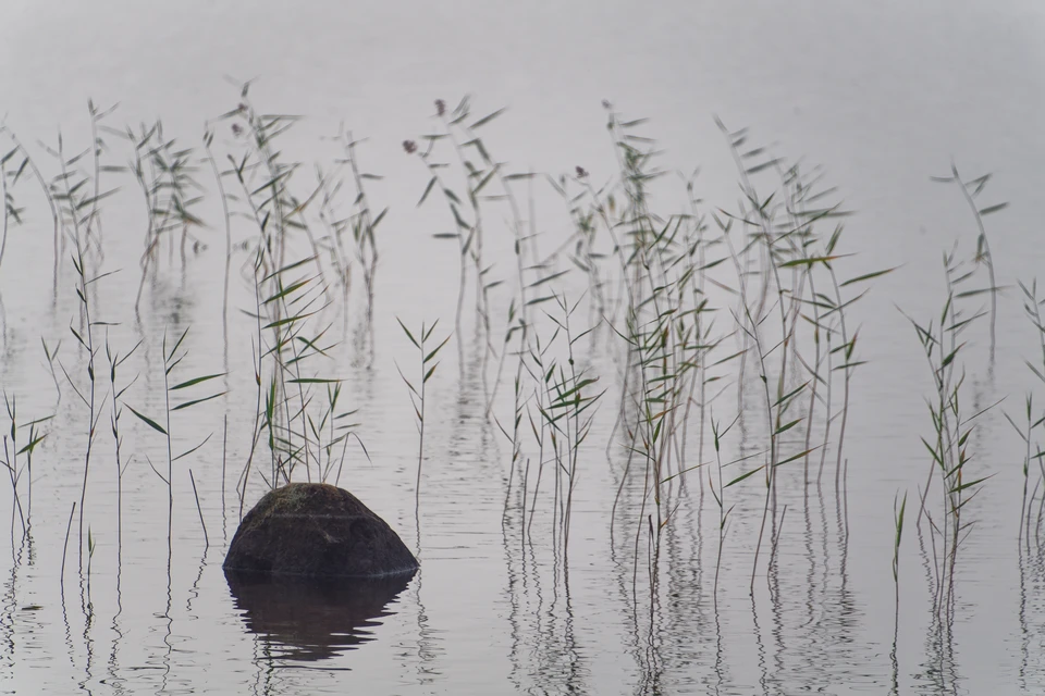 Следующая выездная проверка запланирована на ноябрь