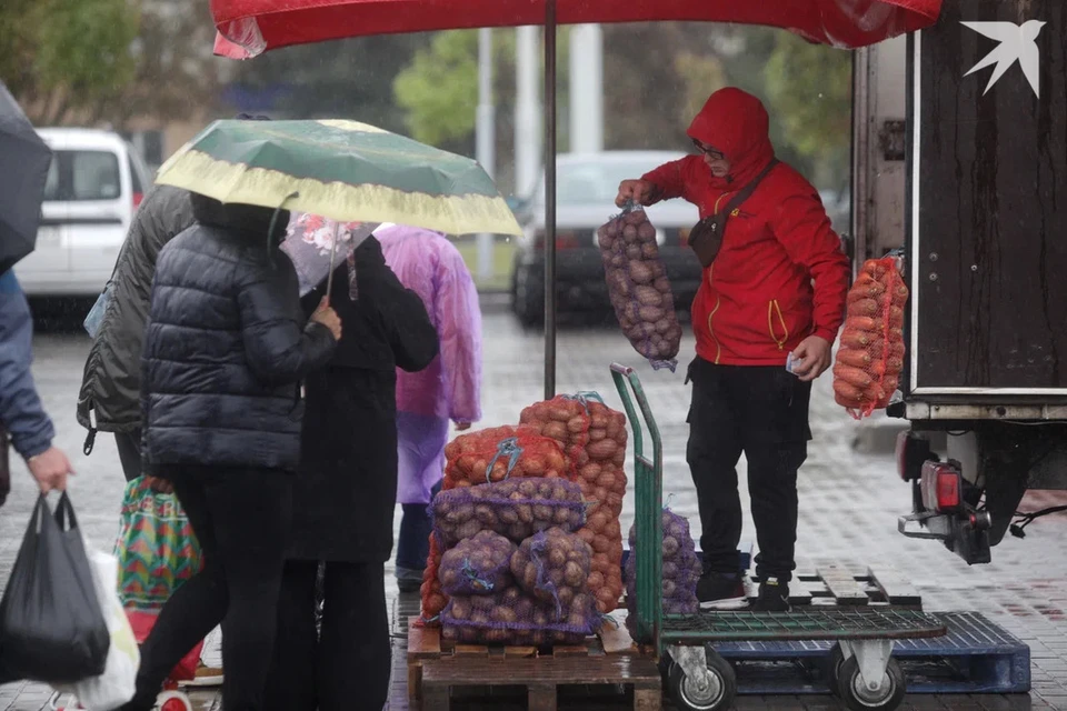 Мингорисполком сказал, что чаще всего покупают минчане на сельхозярмарках. Снимок носит иллюстративный характер.