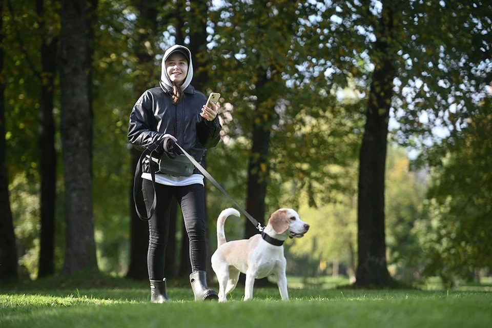 Скоро документ подпишет губернатор Александр Беглов.