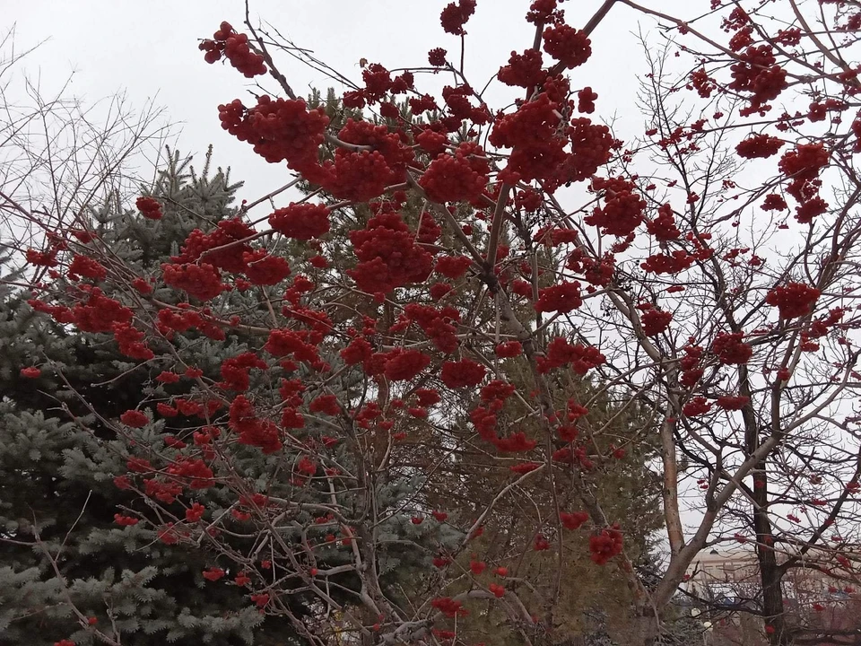 Погода на Ямале на 30 октября