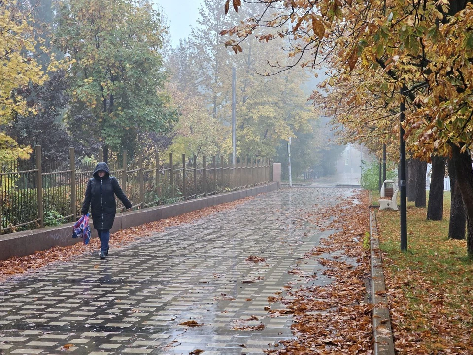 Город Волгоград.